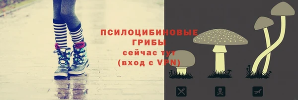 дурь Богородицк
