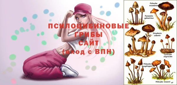дурь Богородицк